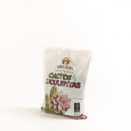 Tierra cactus y...
