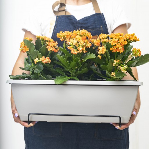 Jardinera de colgar con soporte y plato.