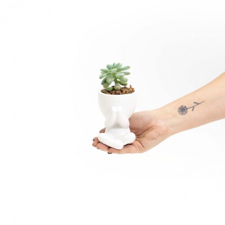 Maceta Little People c/sucus