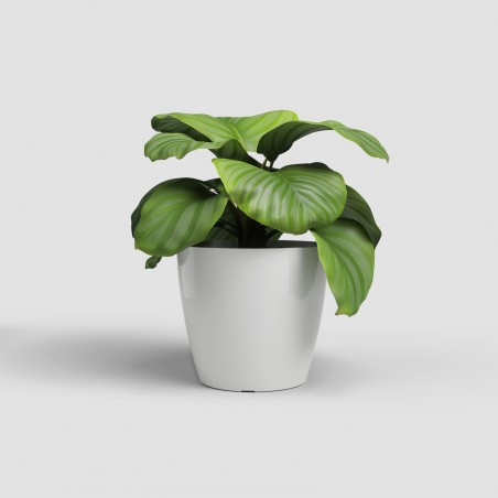 Porta maceta SAN REMO...