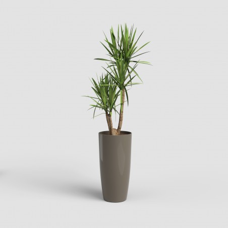 Portamaceta SANTORINI...