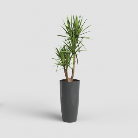 Portamaceta SANTORINI...