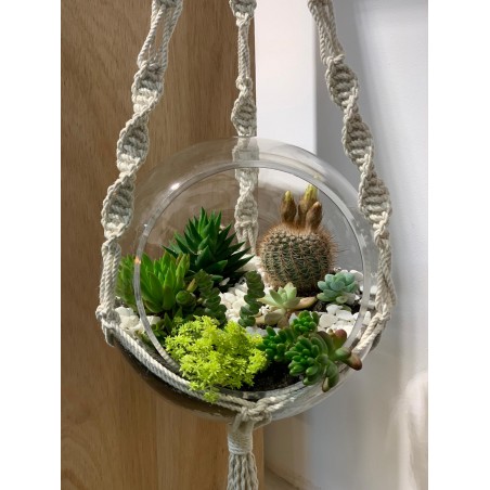 Terrario en Macramé
